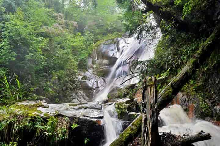 �s���̑�E�������